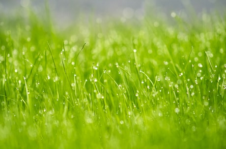 环县天气预报：周末阵雨，注意天气变化