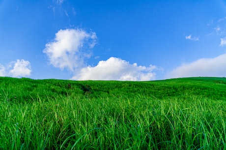 【甘泉县】草原上的桃花源